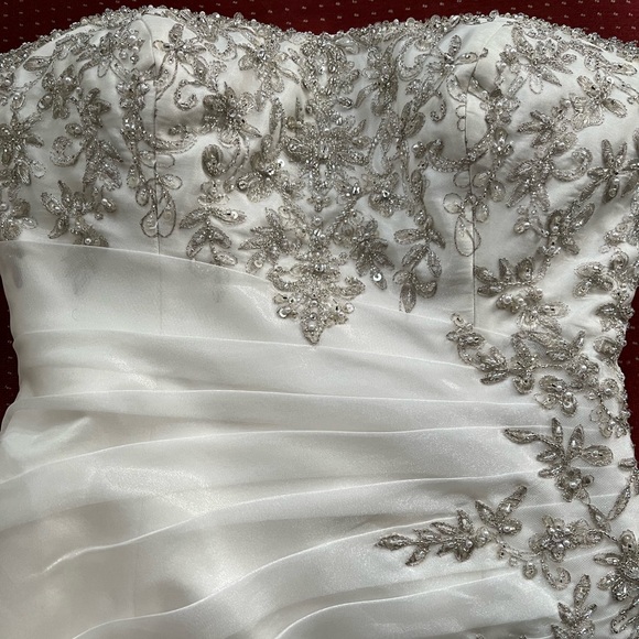 Beautiful Clean Wedding Dress - Picture 10 of 11